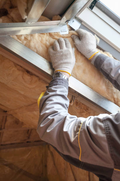 Best Residential Insulation in Texarkana, TX