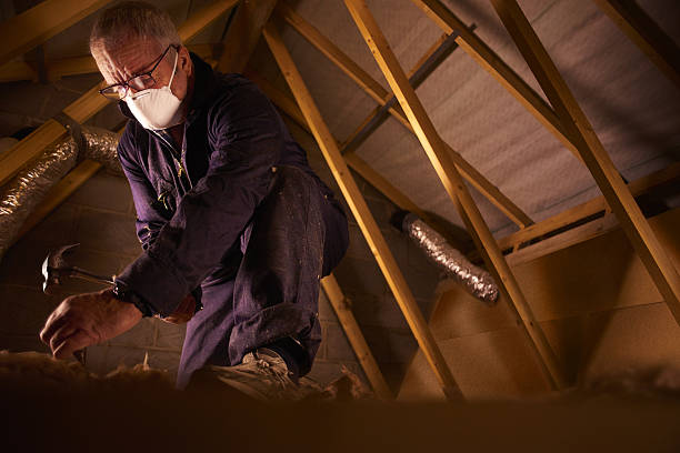 Best Specialty Insulation in Texarkana, TX